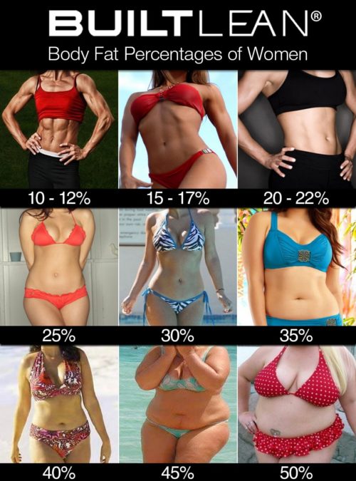 体脂肪率毎の画像と計算 目標体重は体脂肪率で決めるべし Nujonoa Blog